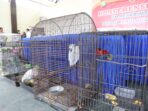 IMG-20250821-WA0072